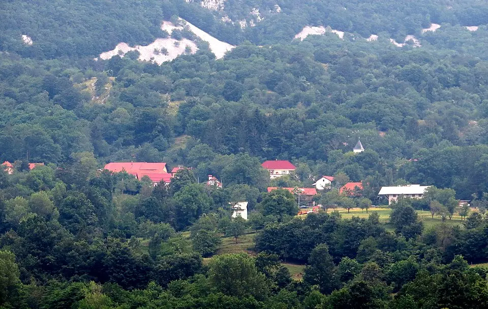 Strane