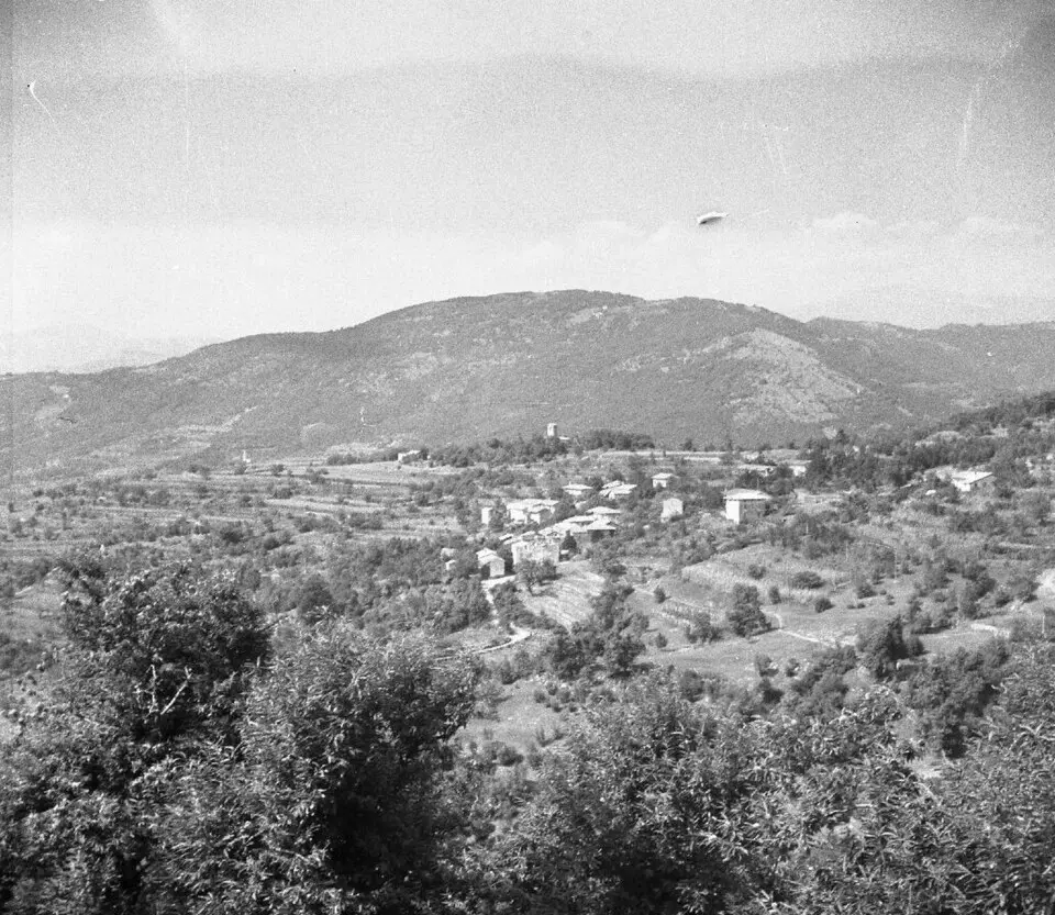 Senik