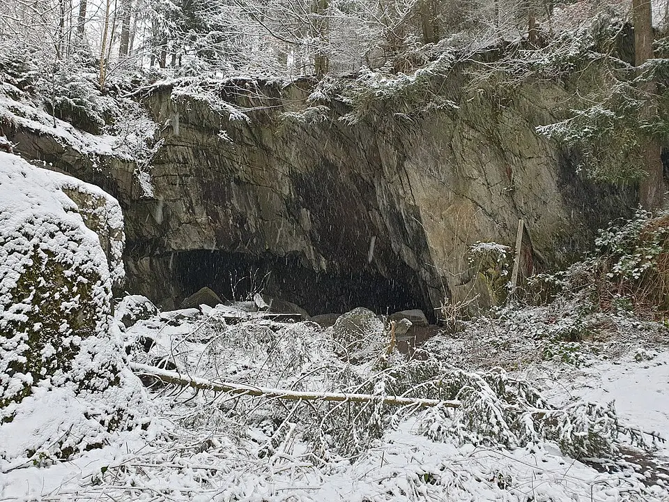 Bärenhöhle (Goslar)