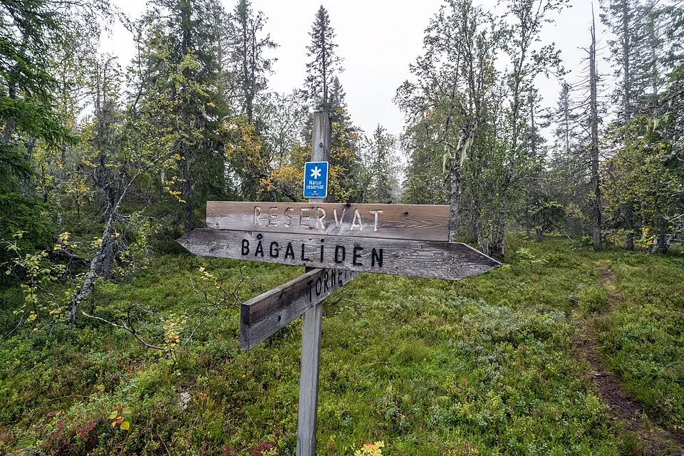 Bågaliden