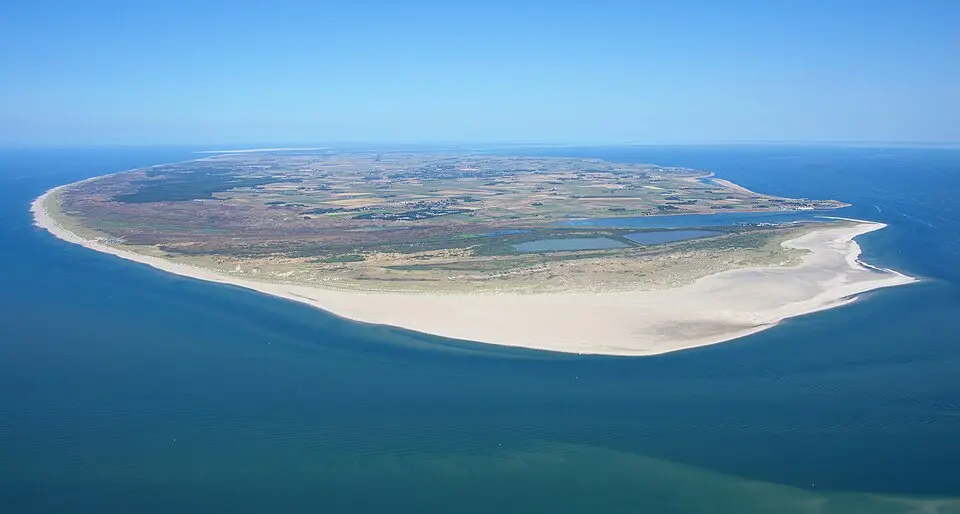 Texel