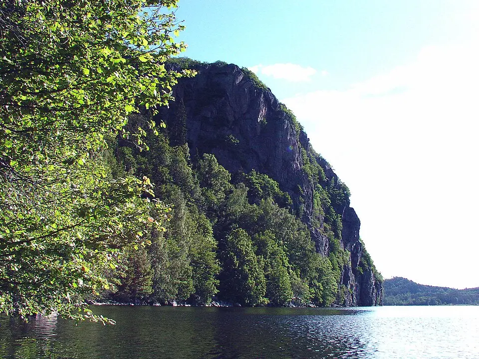 Börs Flåg