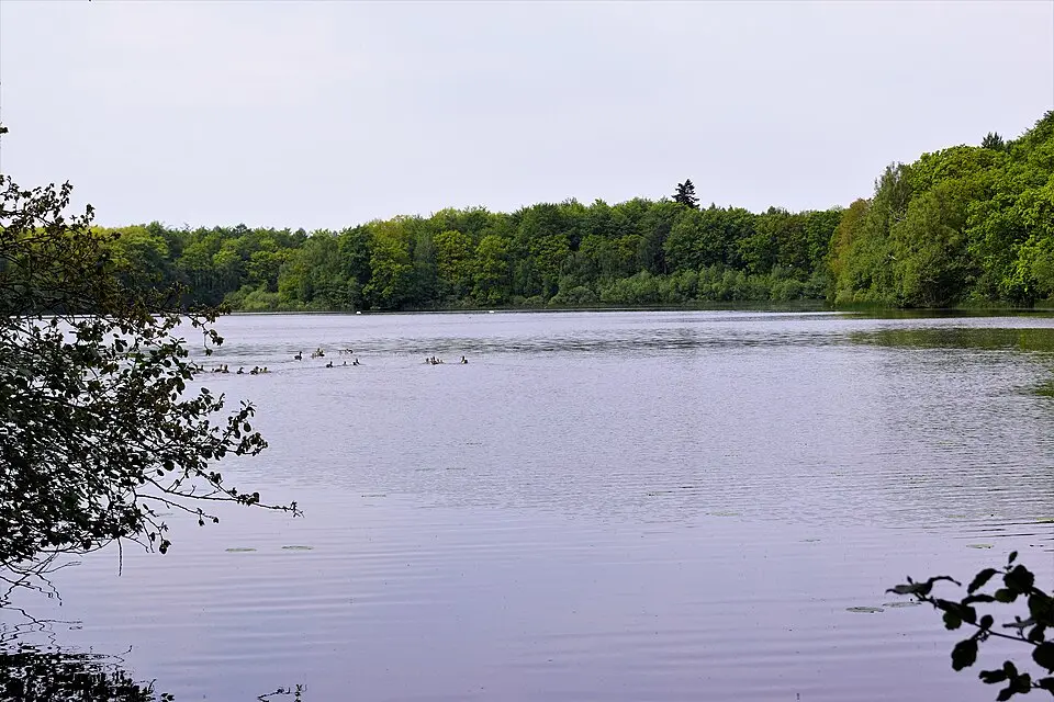 Bøgeholm Sø
