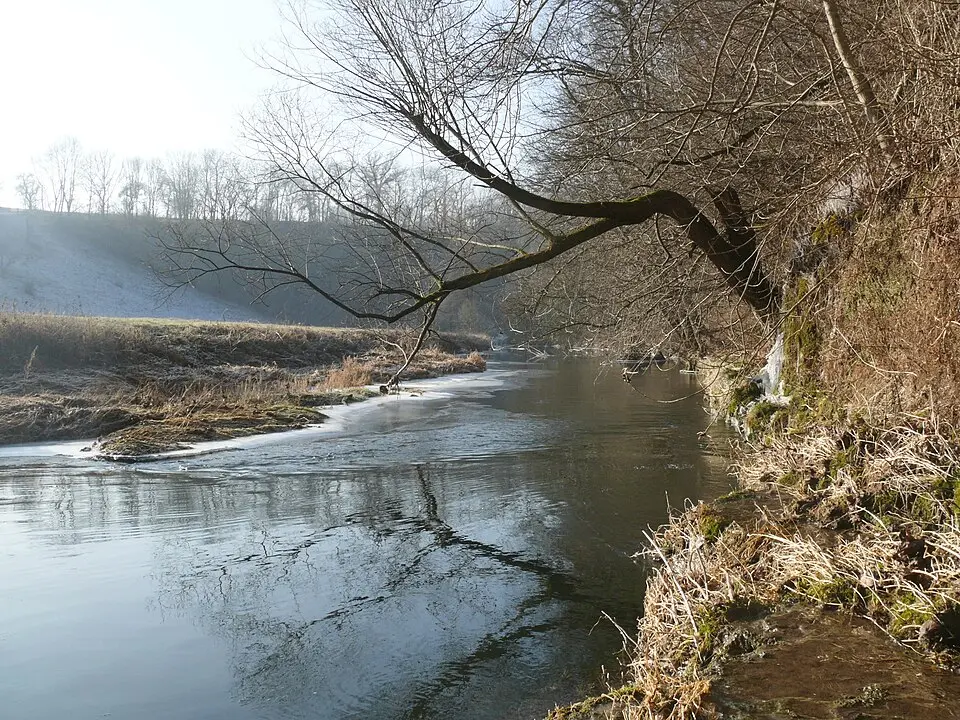 Bühler