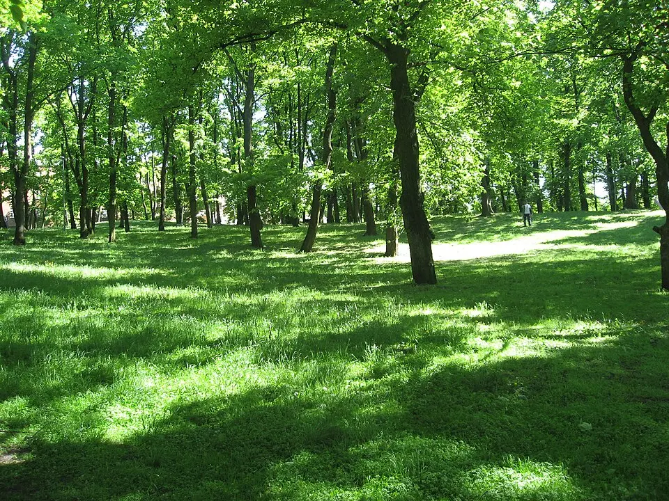 Old Jewish cemetery