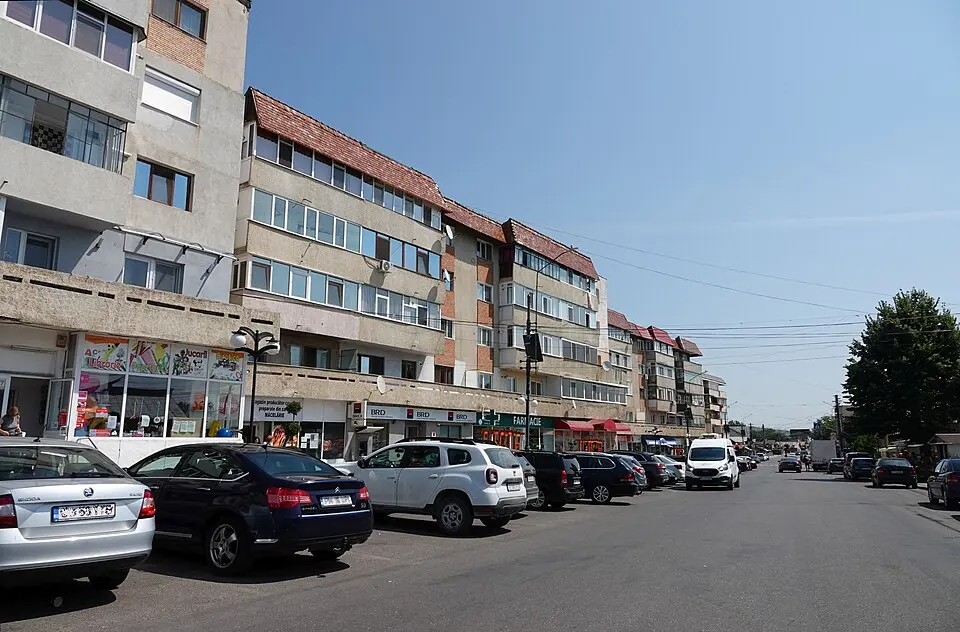 Obrázok: Nenea hartia · CC BY-SA 4.0 Liliești