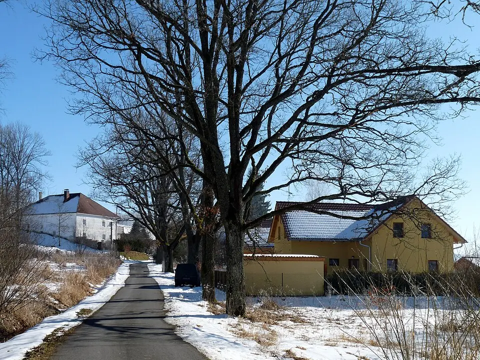 Bělá