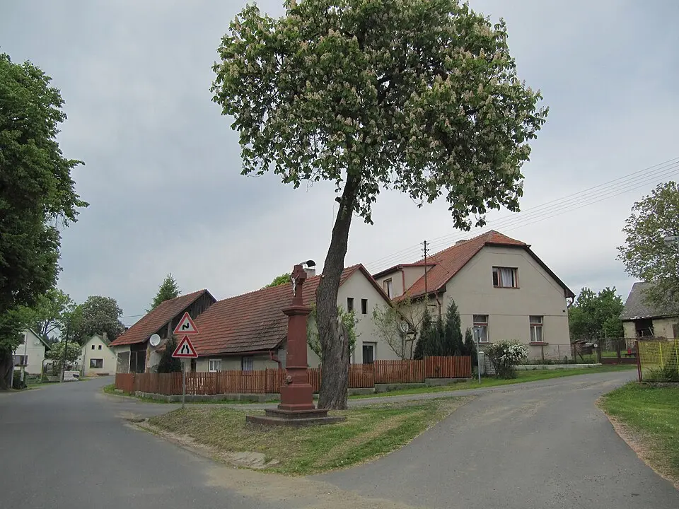 Bělokozly