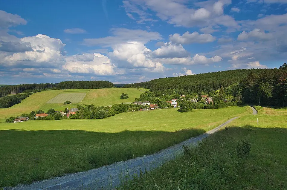Březina
