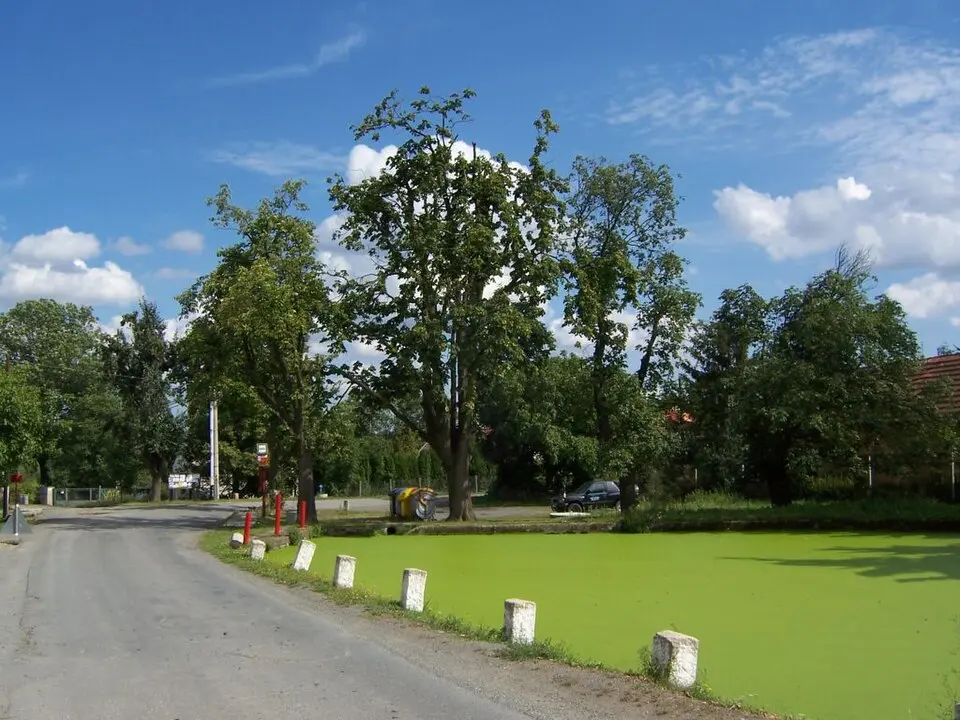 Březová