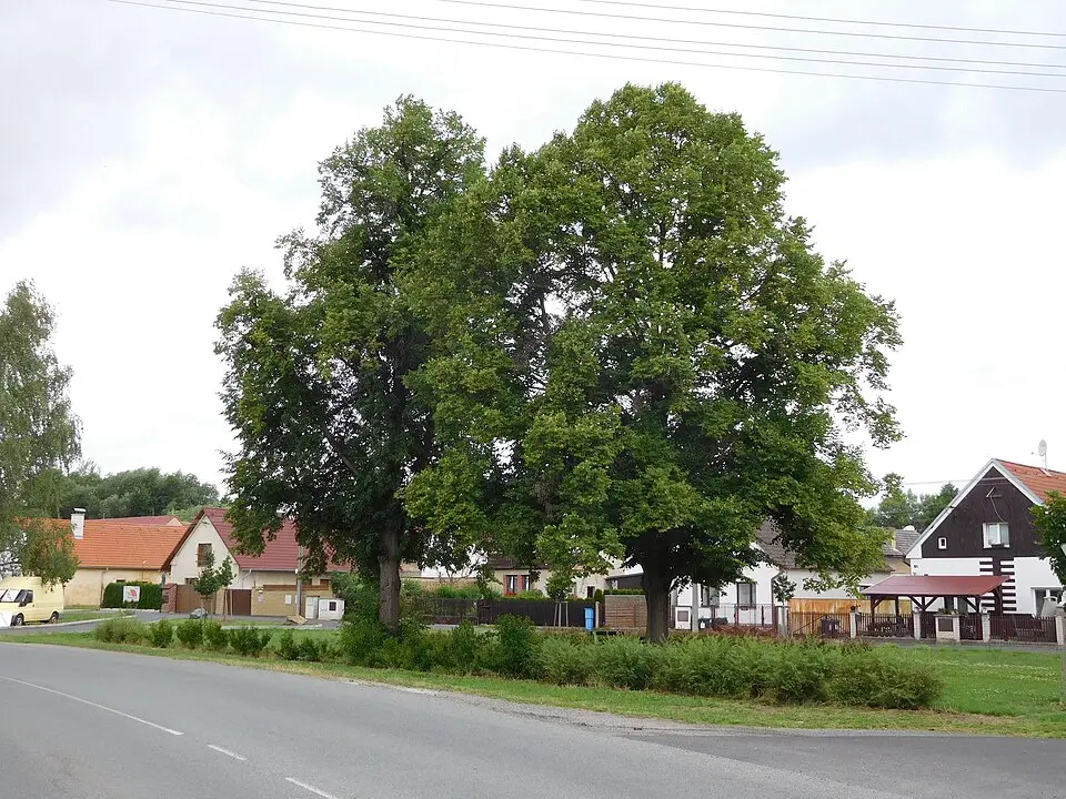 Obrázek: JiriMatejicek · CC BY-SA 3.0 Bdeněves
