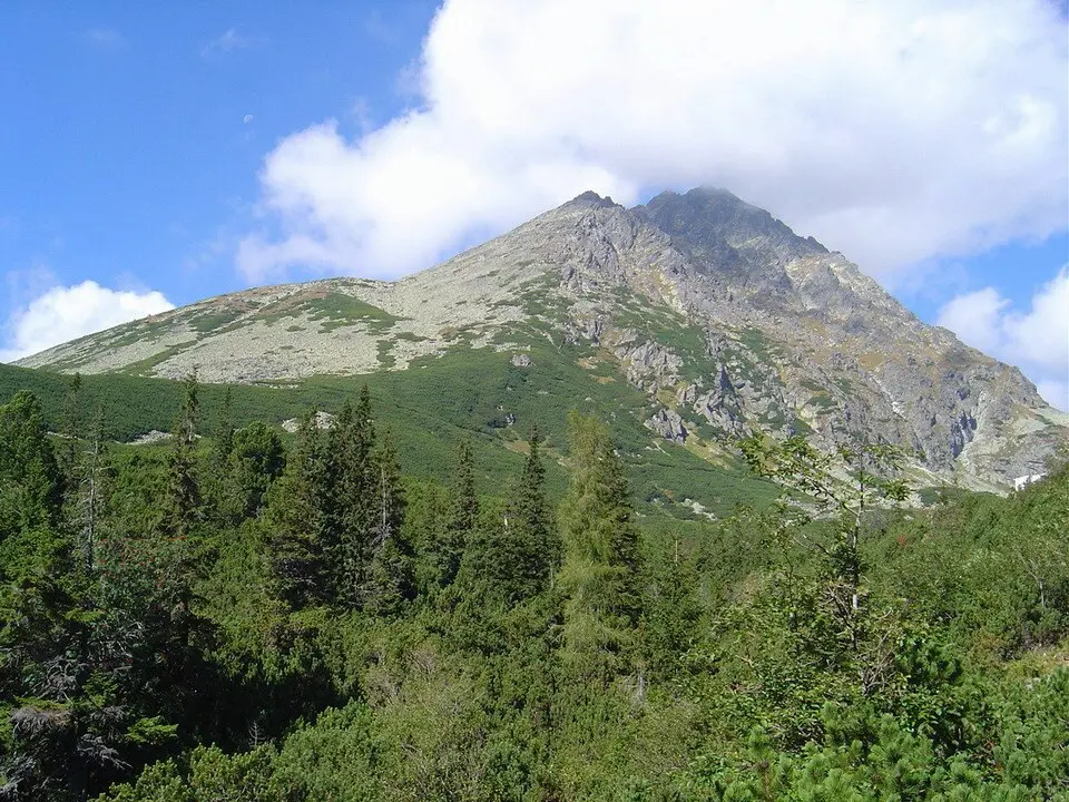 Kvetnicová veža