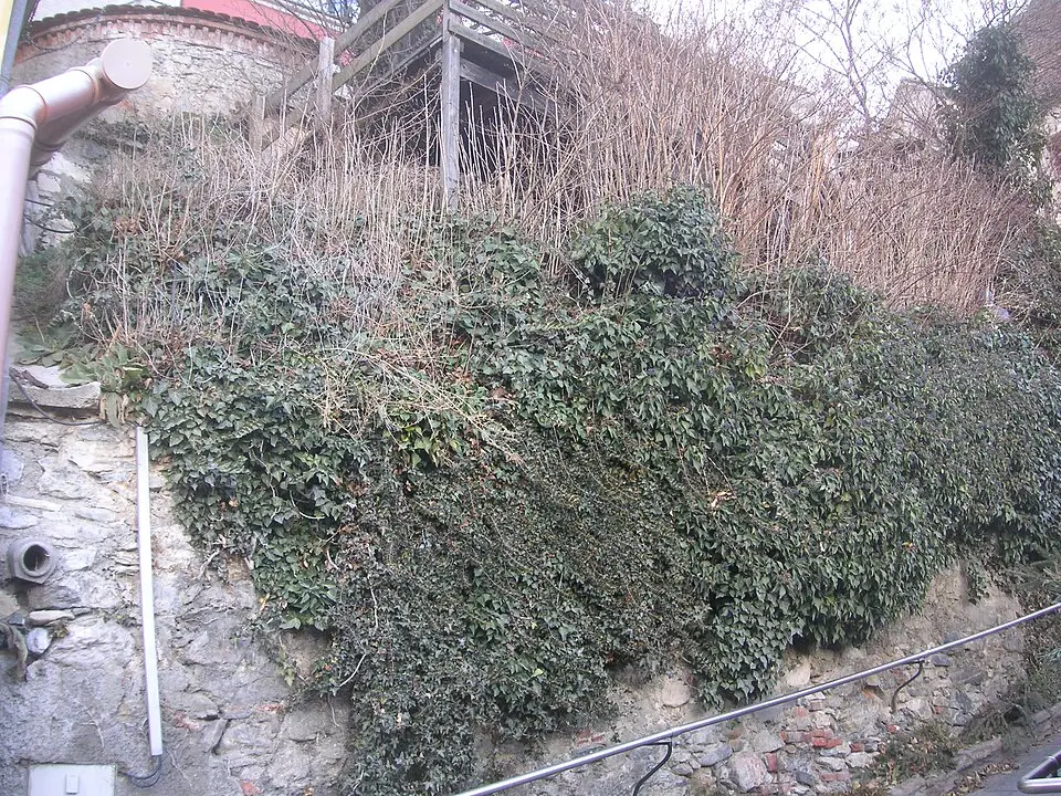 Befestigungsanlage