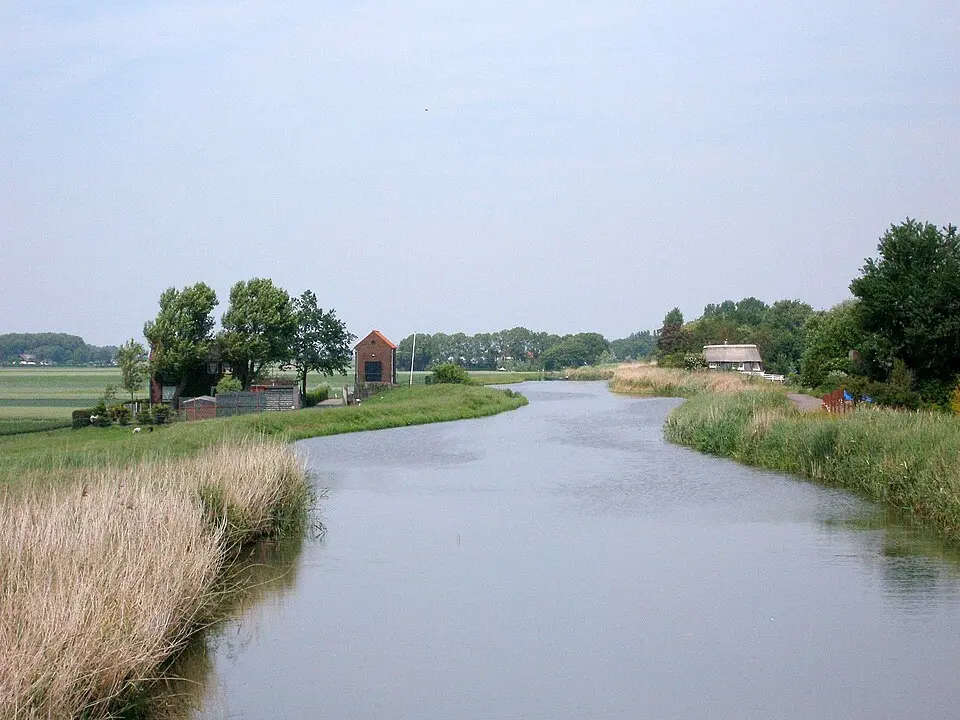 Rotte