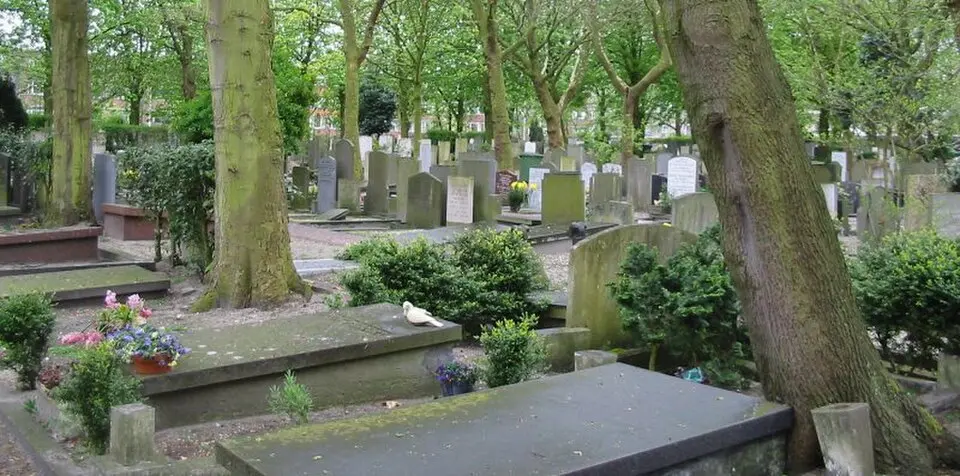 Oud Eik en Duinen