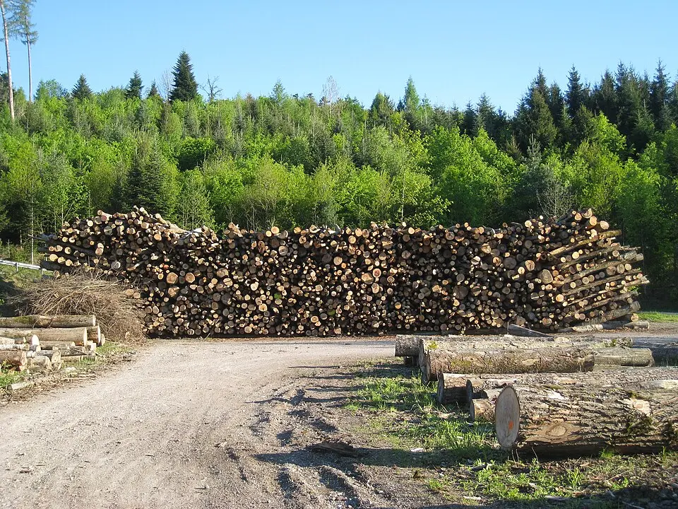 Slika: Tunnelfan · CC BY-SA 4.0 Römischer Gutshof Salet