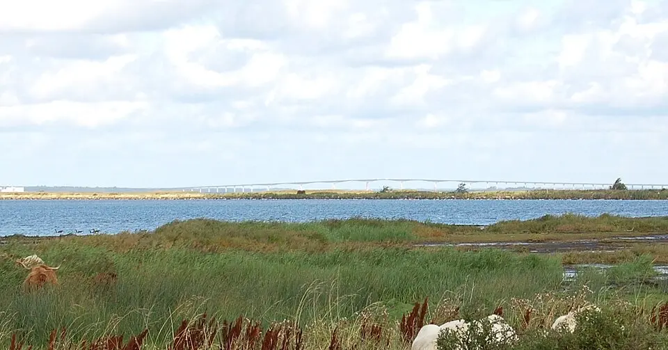Beijershamn