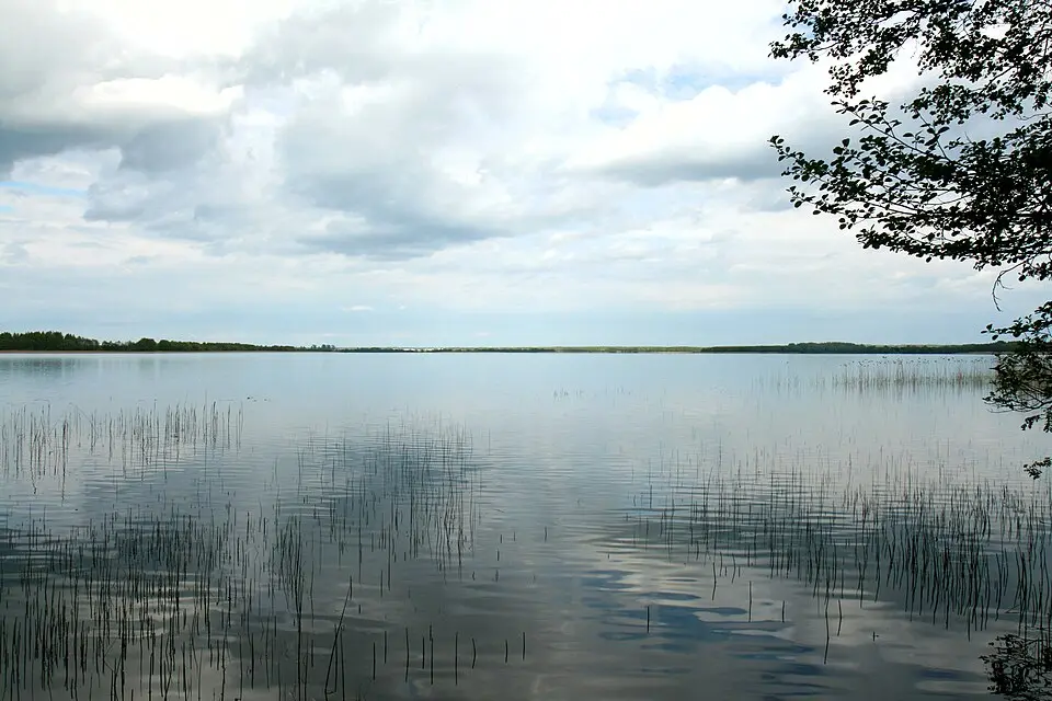 Баторына