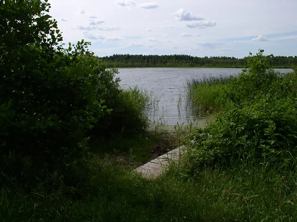 Niohra