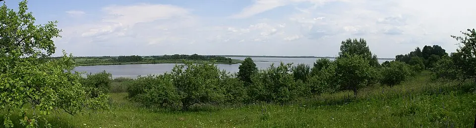 Nieščarda