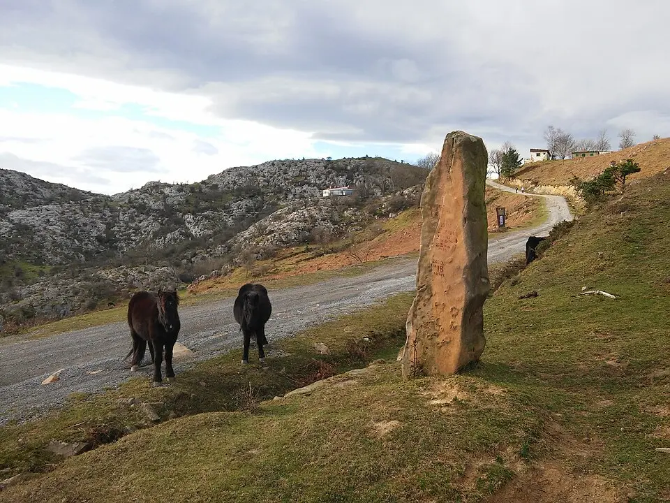 Belatxikieta