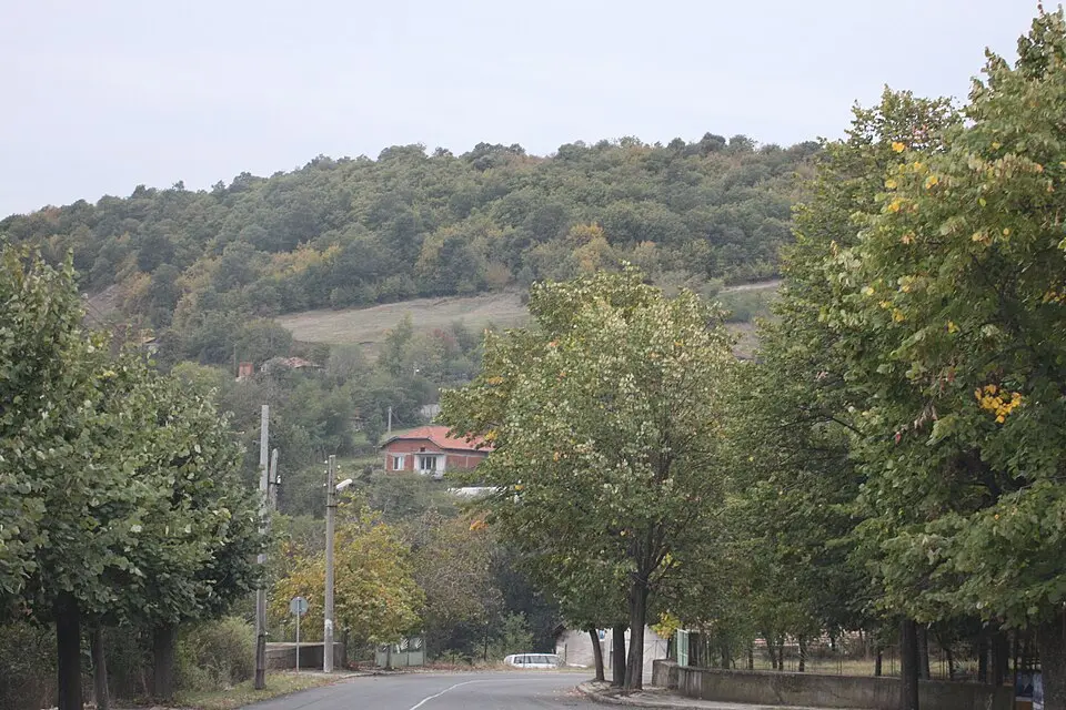 Бели пласт