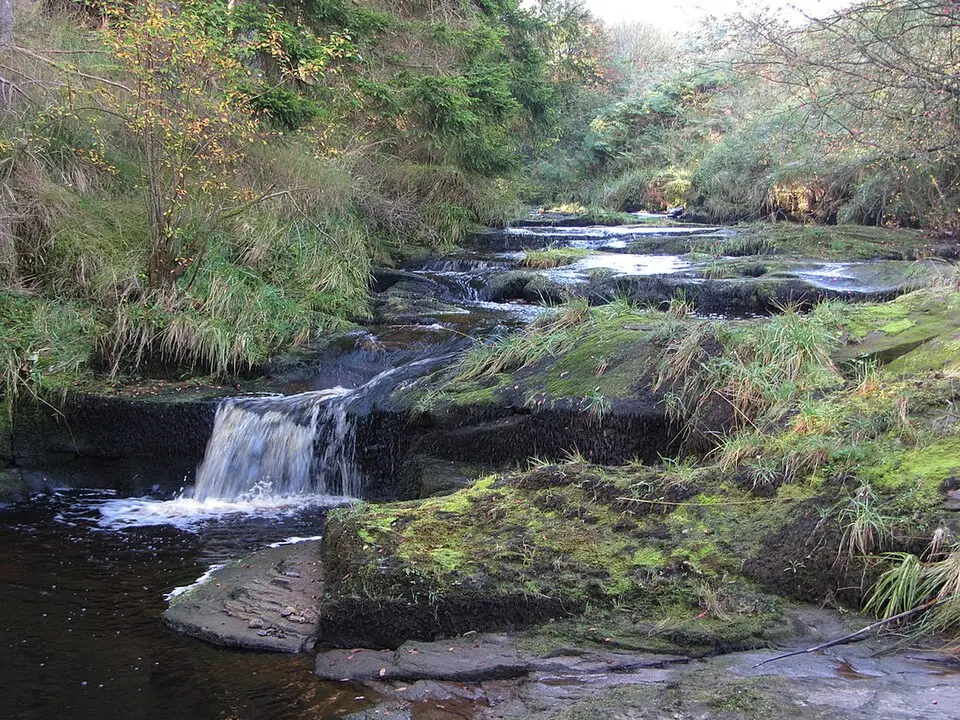 Bells Linn