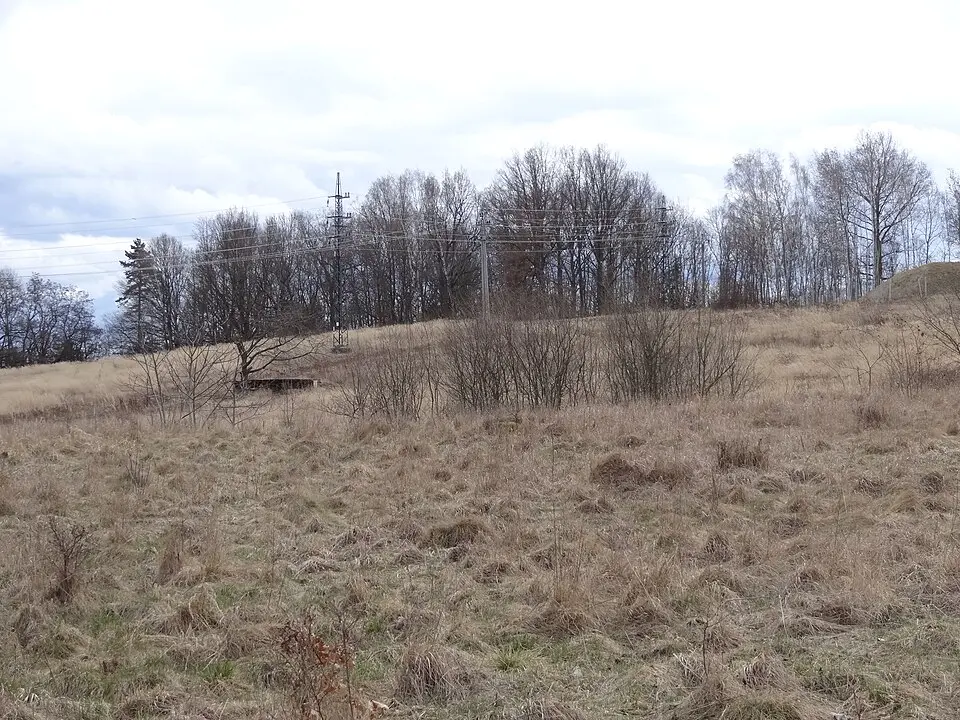 Šance