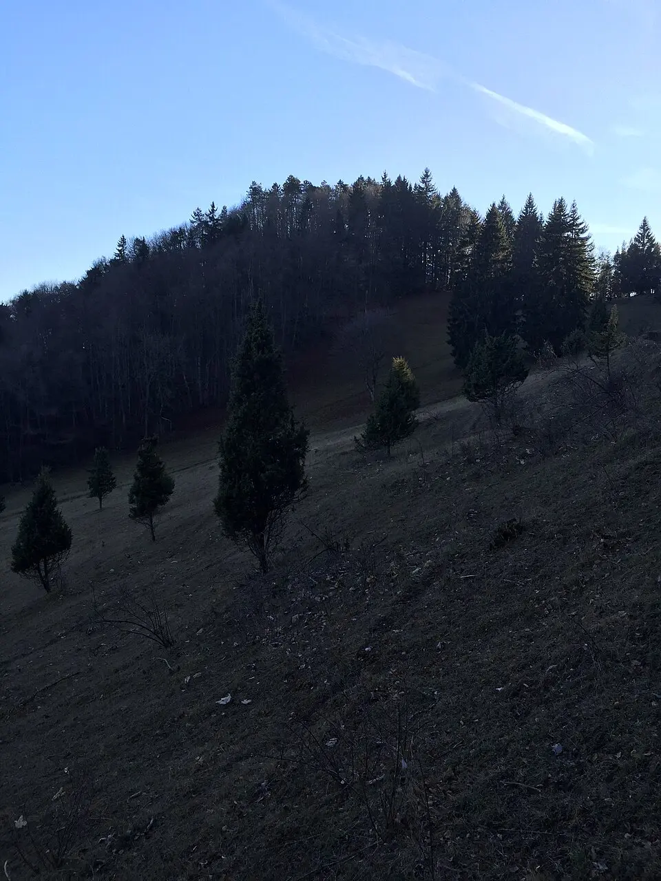 Ruine Wenzelstein (Winzeln)