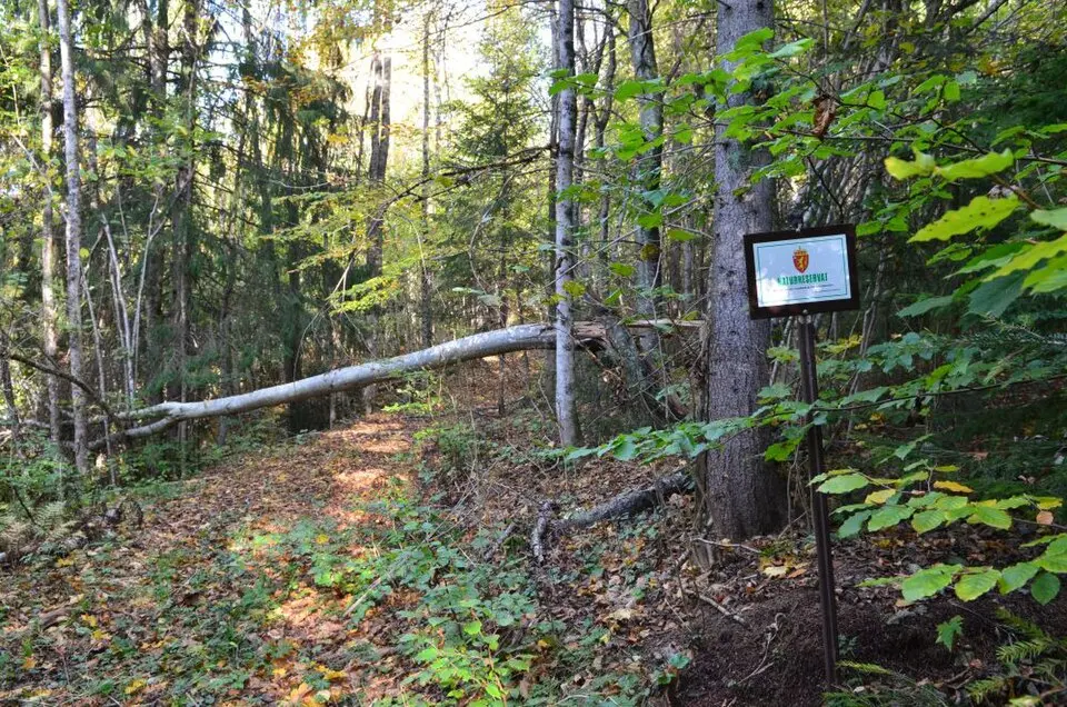 Bergan naturreservat