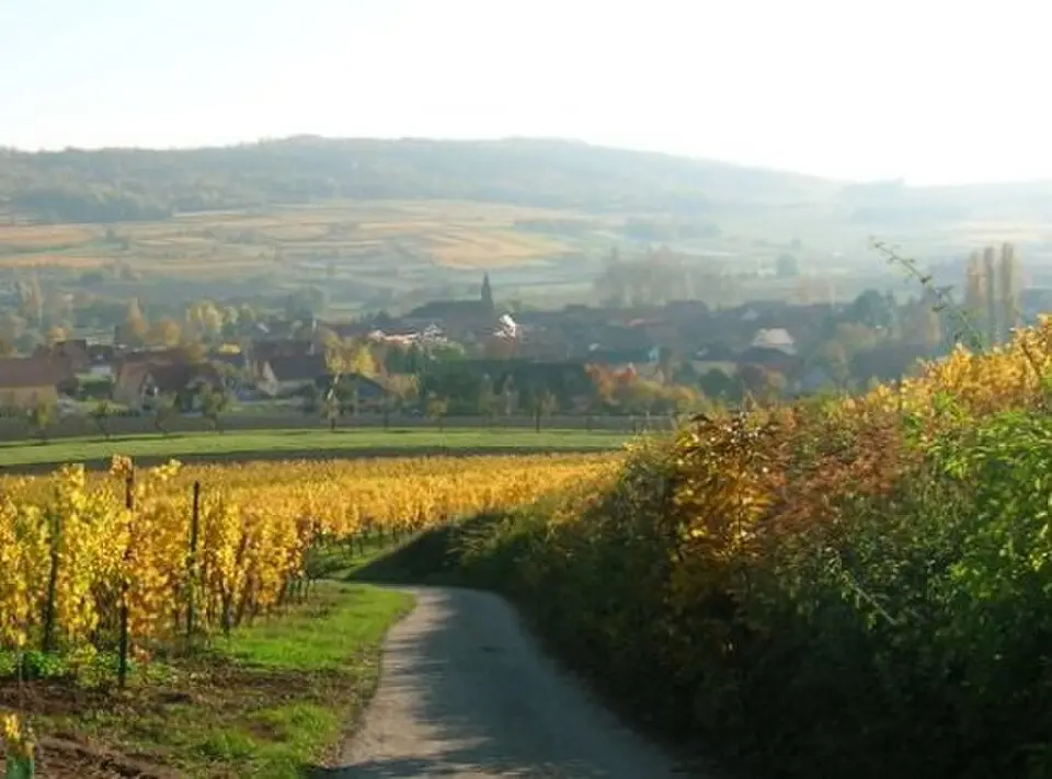 Image: Jean-Luc SCHMITT · CC BY-SA 3.0 Bergbieten