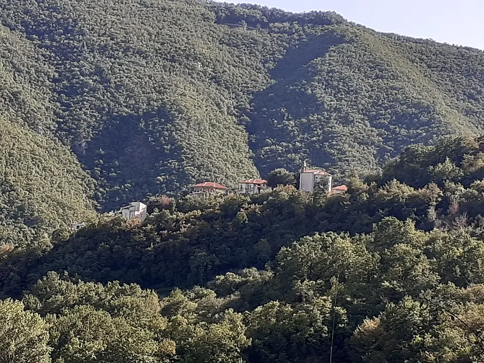Bergalla