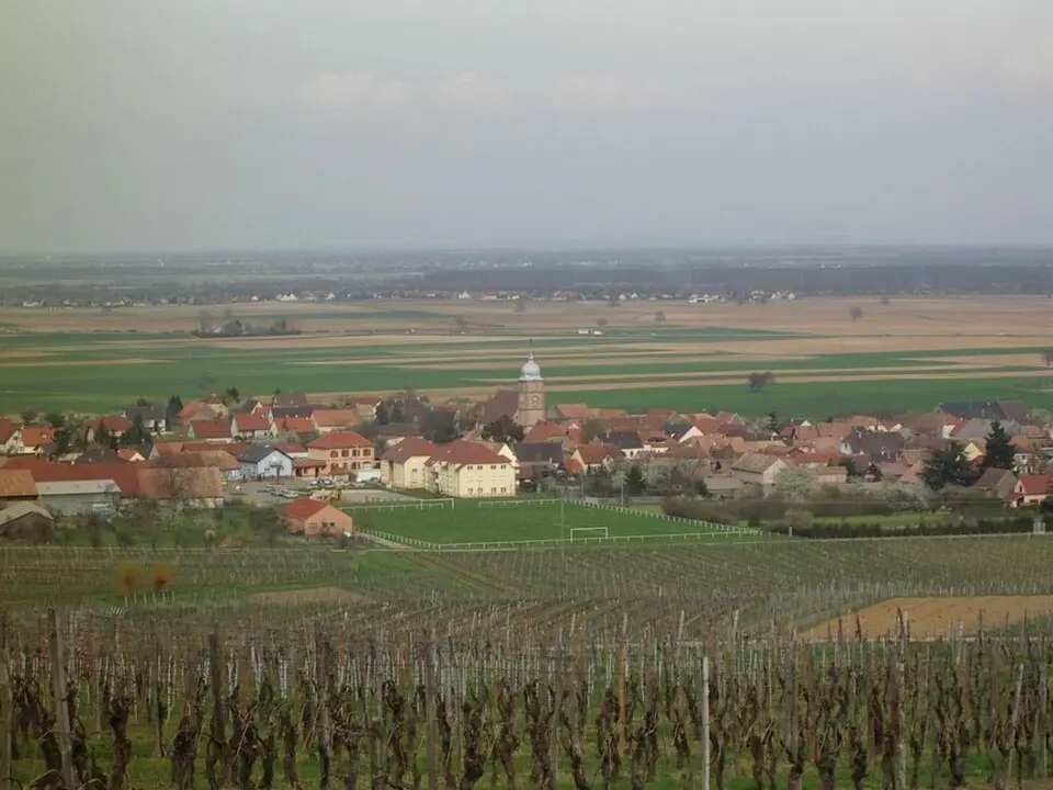 Bergholtz