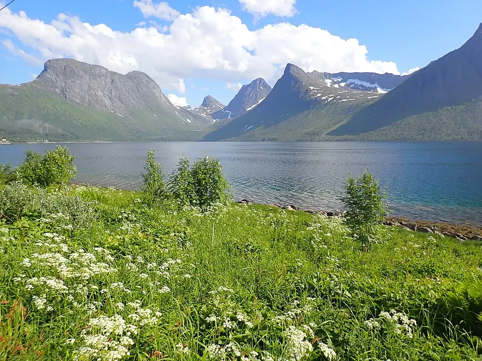 Bergsfjorden