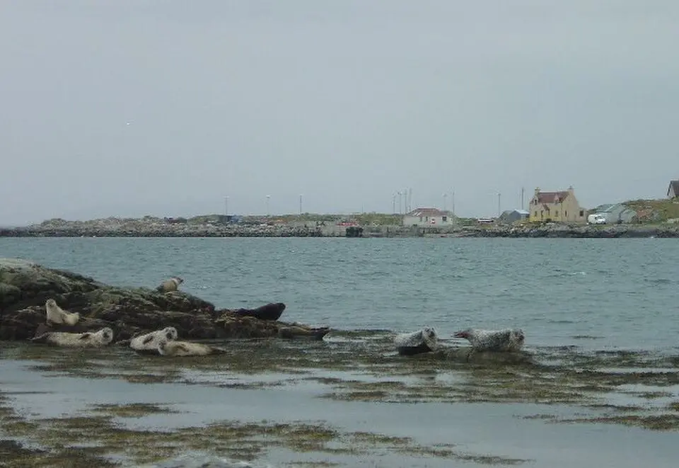 Berneray