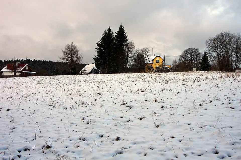 Bernov
