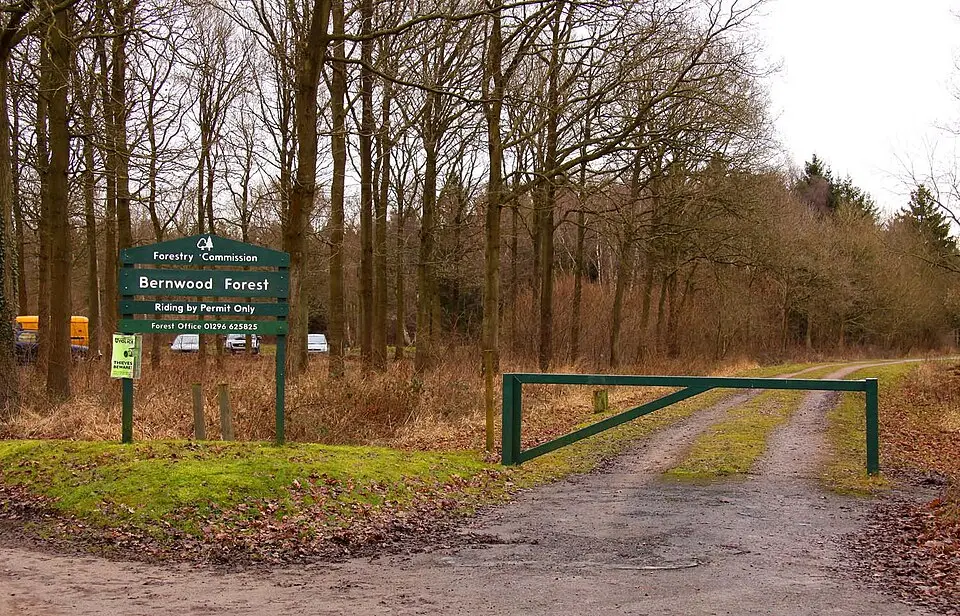 Bernwood Forest