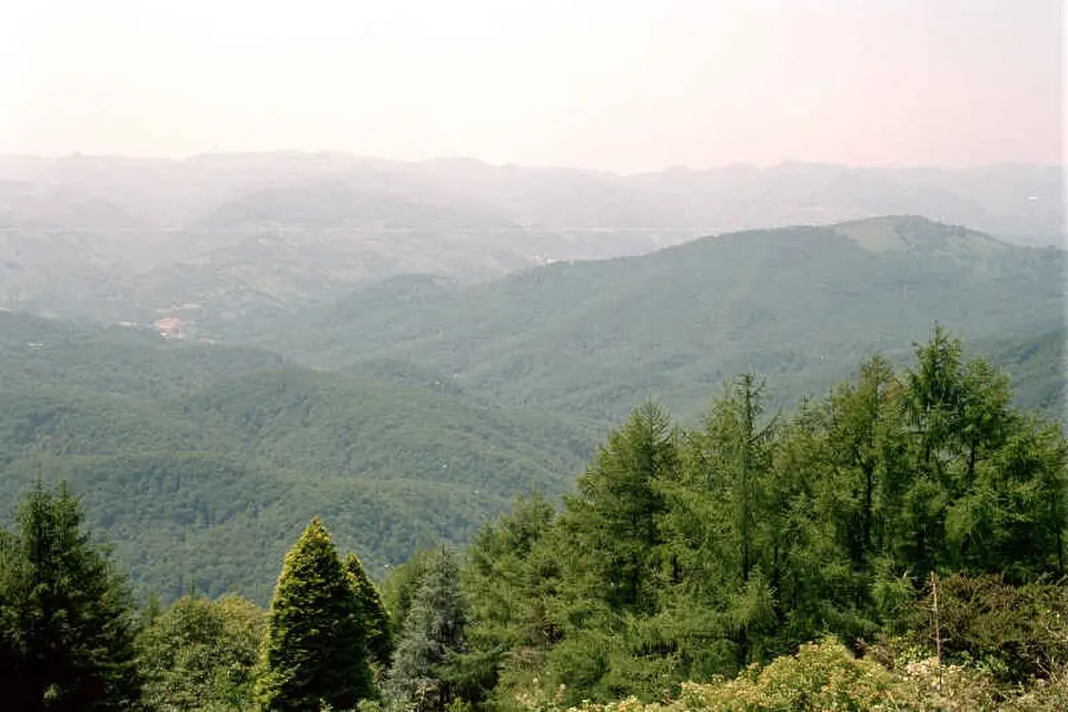 Parque natural Señorío de Bertiz