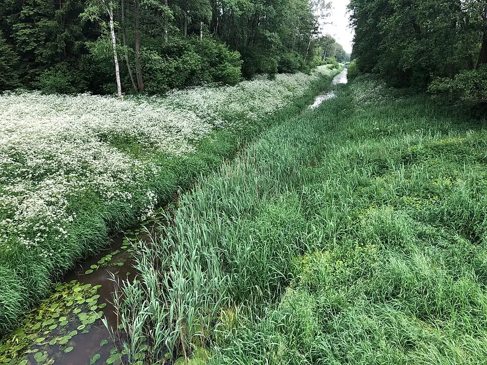 Biarvienka