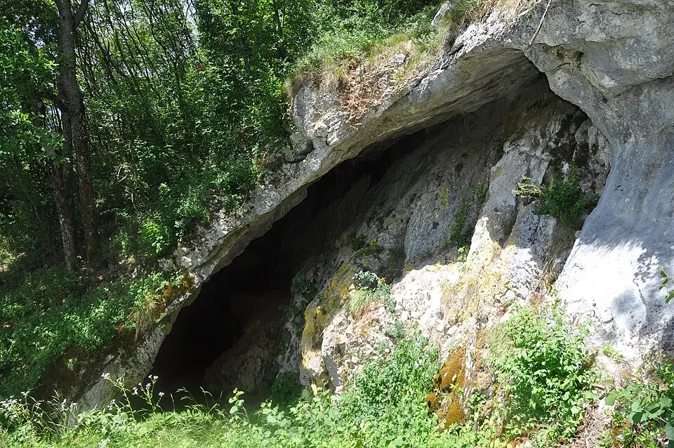 Image: Sl-Ziga · CC BY-SA 3.0 Betalov spodmol
