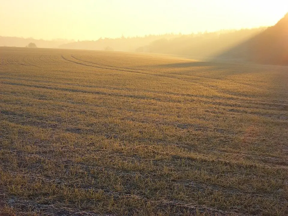 Grim's Ditch; section 650yds (590m) long NW of Betterton Down