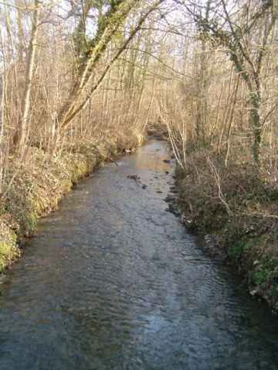 Beuvronne