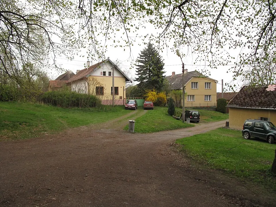 Bezpravovice