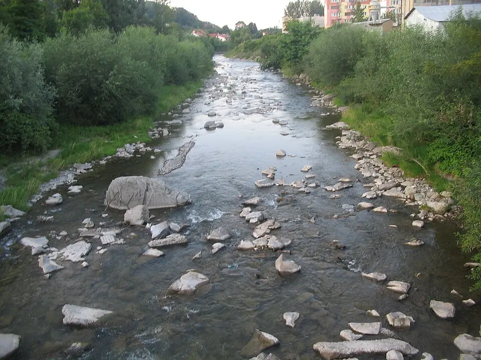 Biała