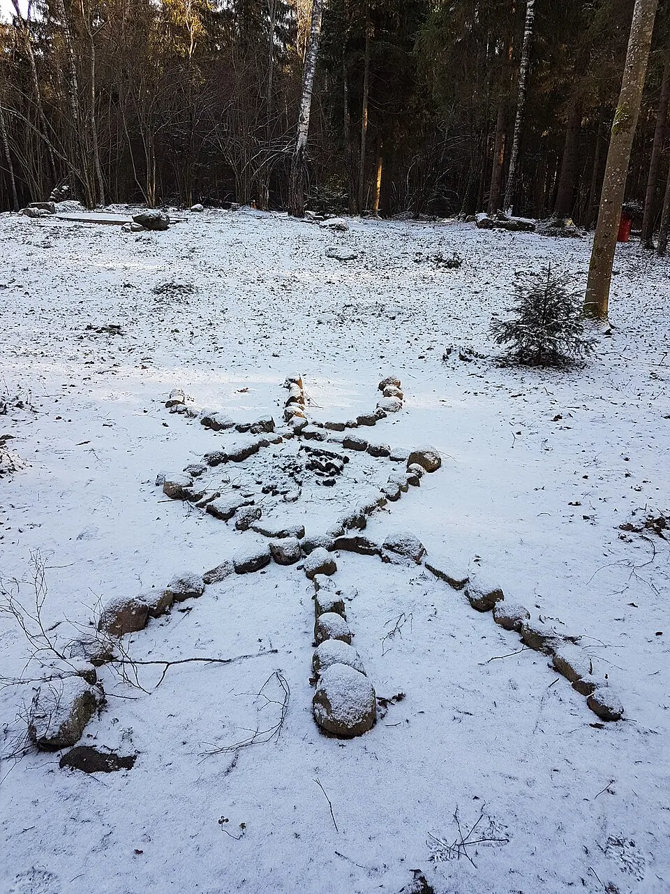 Лысая