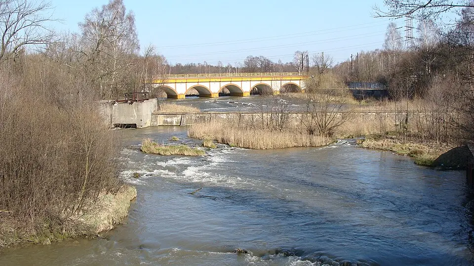 Image: Michaelus · CC BY 3.0 Biała Przemsza