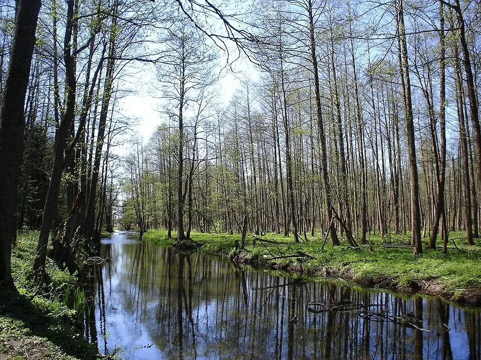 Łutownia