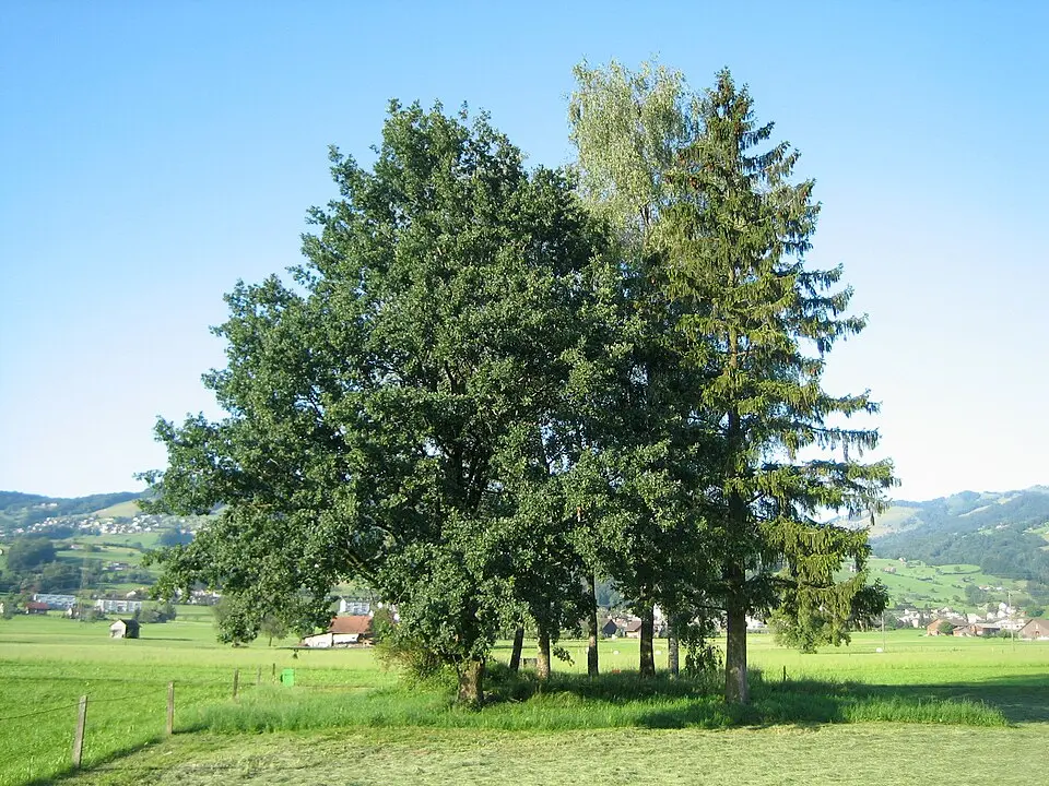 Burg Bibiton