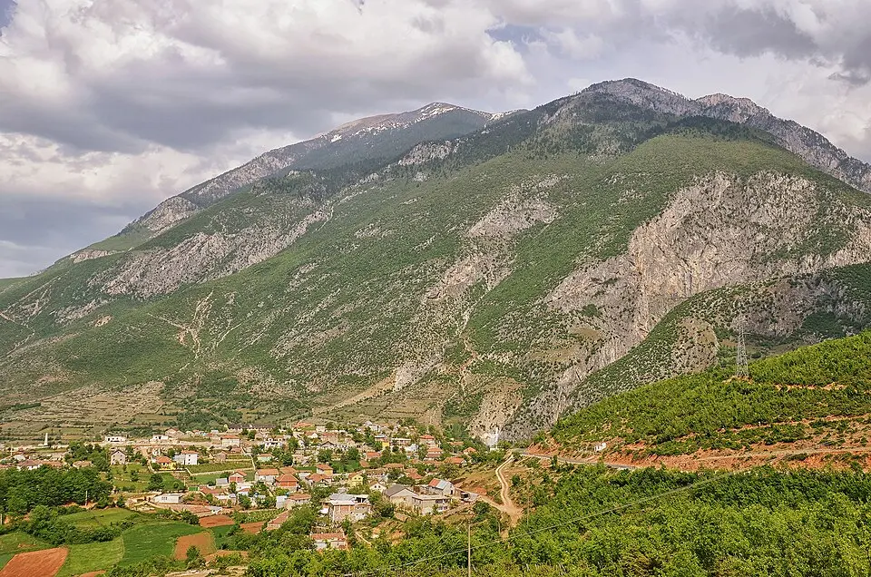 Njësia administrative Bicaj