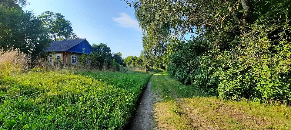 Біцавічы